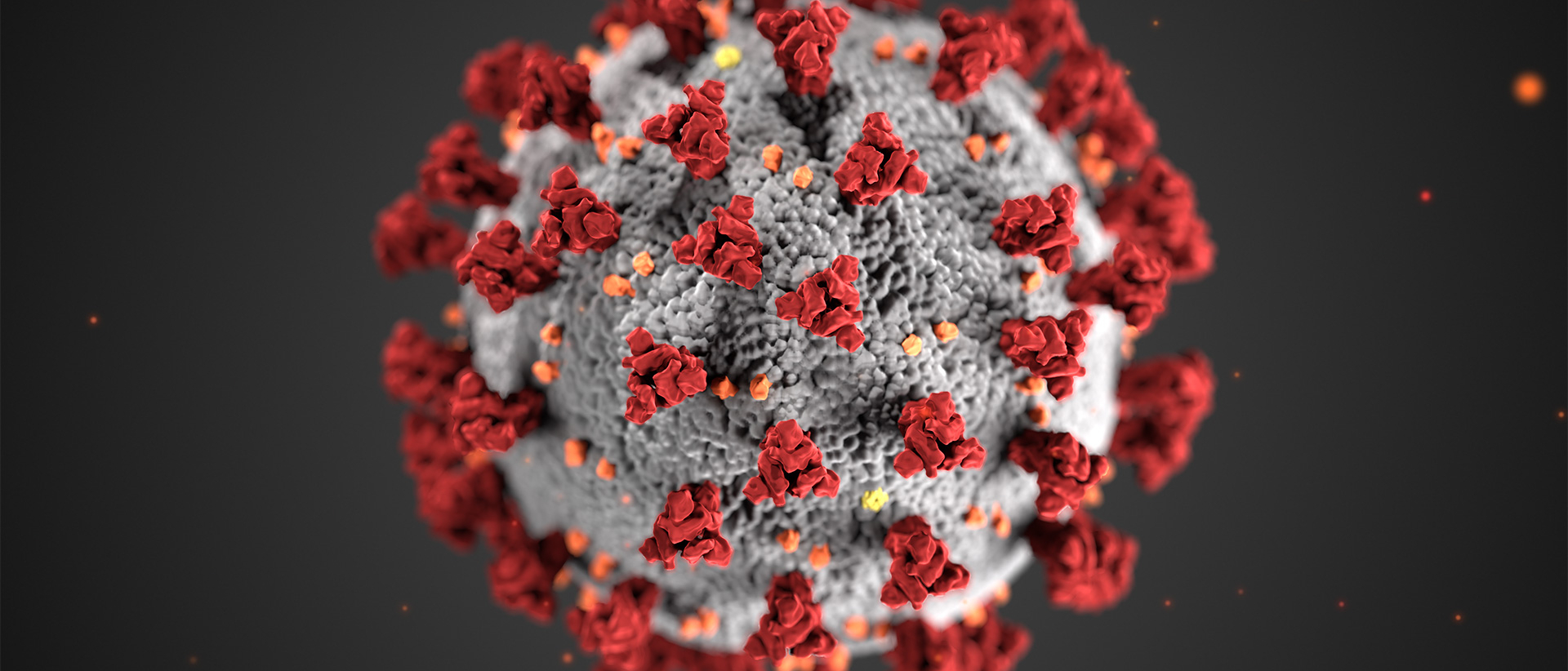 koronavirus dejstva
